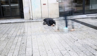 Αυξήθηκαν οι θάνατοι από καρκίνο λόγω της οικονομικής κρίσης