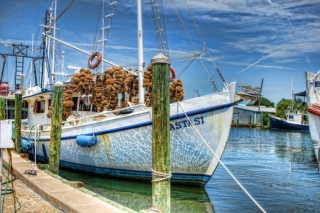 Τάρπον Σπρινγκς: Ξενάγηση στο θρυλικό ελληνικό &#039;νησί&#039; των ΗΠΑ