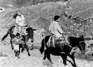 O &#039;Έλληνας&#039; Λέοναρντ Κοέν